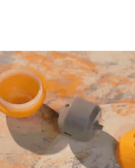 כדור אינטראקטיבי לחיית מחמד